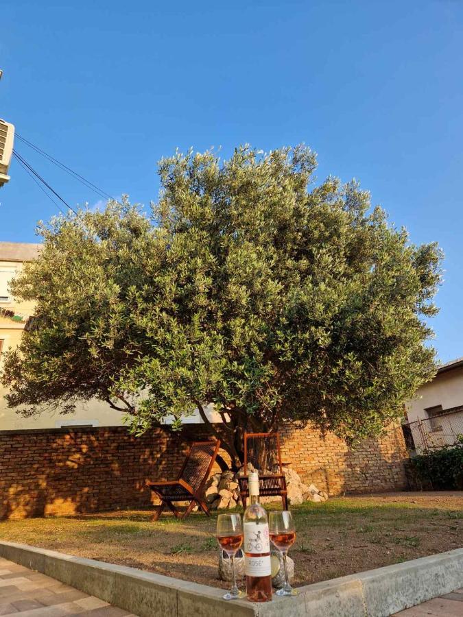 Apartmani Studio Apartmani Senjska Maslina Senj  Exteriér fotografie