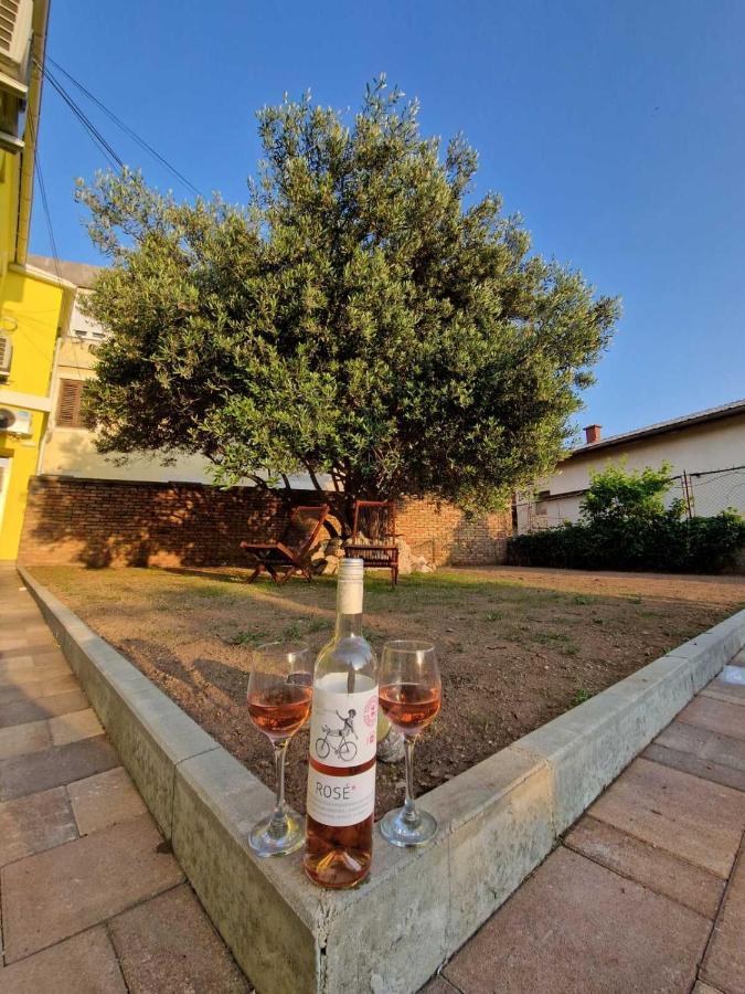 Apartmani Studio Apartmani Senjska Maslina Senj  Exteriér fotografie