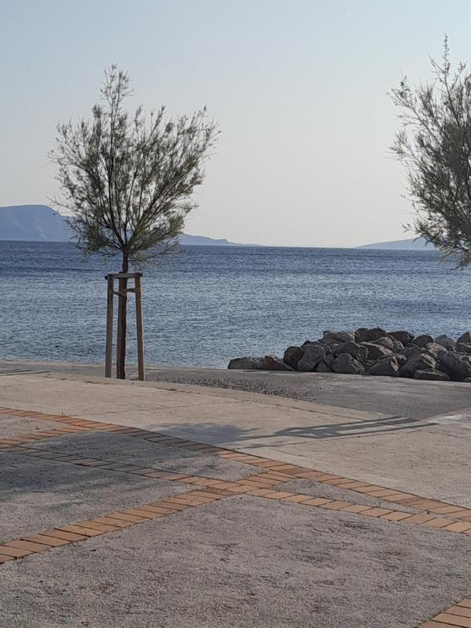 Apartmani Studio Apartmani Senjska Maslina Senj  Exteriér fotografie