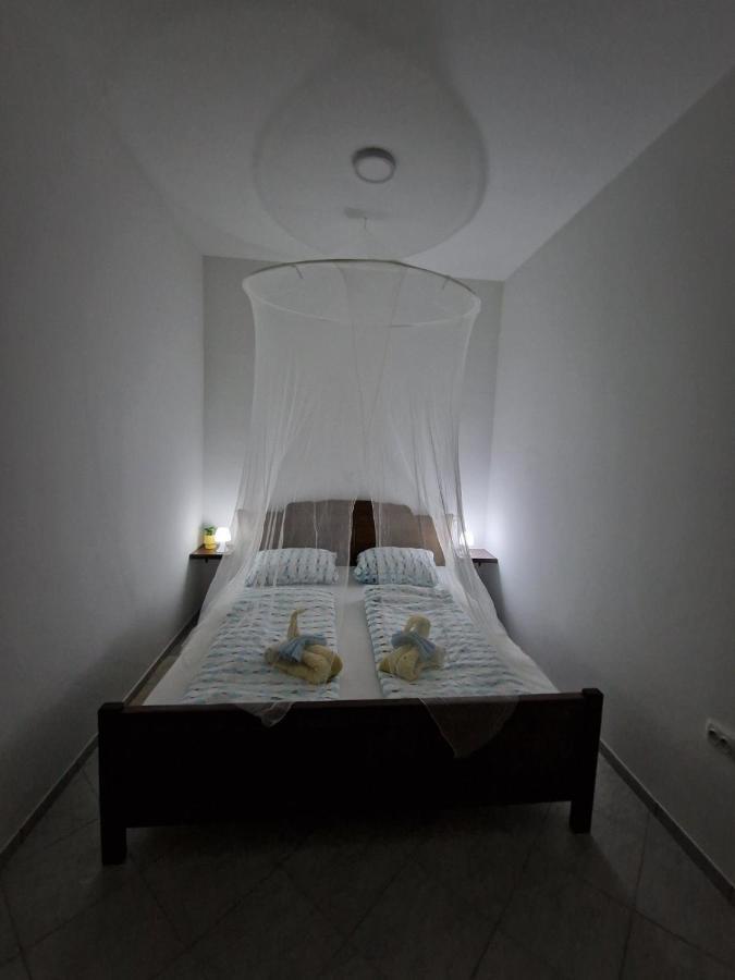 Apartmani Studio Apartmani Senjska Maslina Senj  Exteriér fotografie